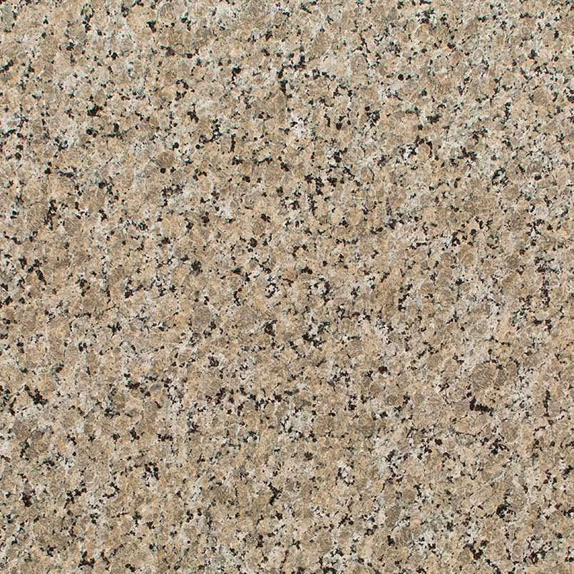 Ferro Gold Granite scene 2
