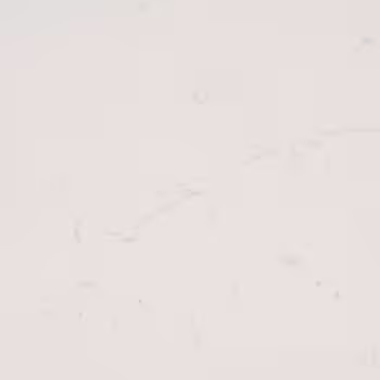 6456Ce4476Abb2480Ffbb210 Msi%20Surfaces%20Surprise%20Granite%20Alabaster White Quartz Close Up countertop sample