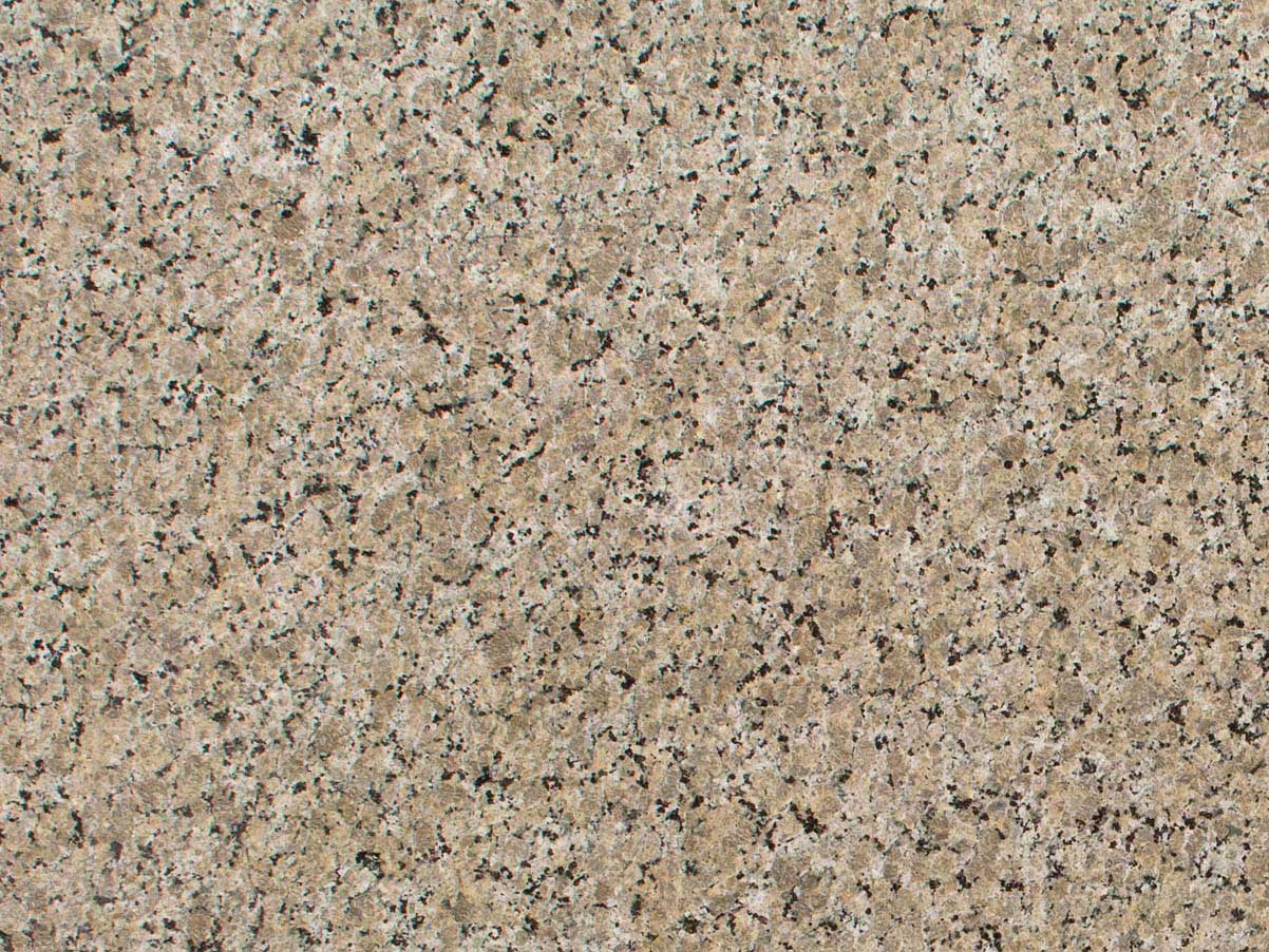 Ferro Gold Granite scene 3