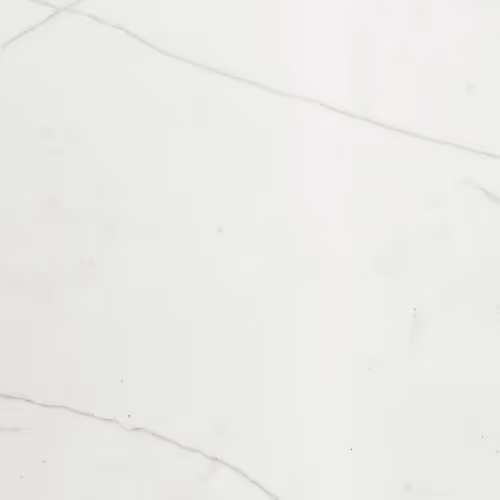 Calacatta Clara countertop