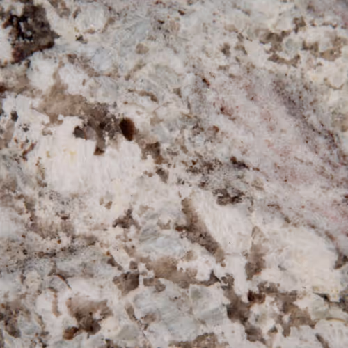6456Ce4576Abb206F5Fbbf1F Msi Surfaces Surprise Grnite Andino White Granite Close%20Up countertop sample