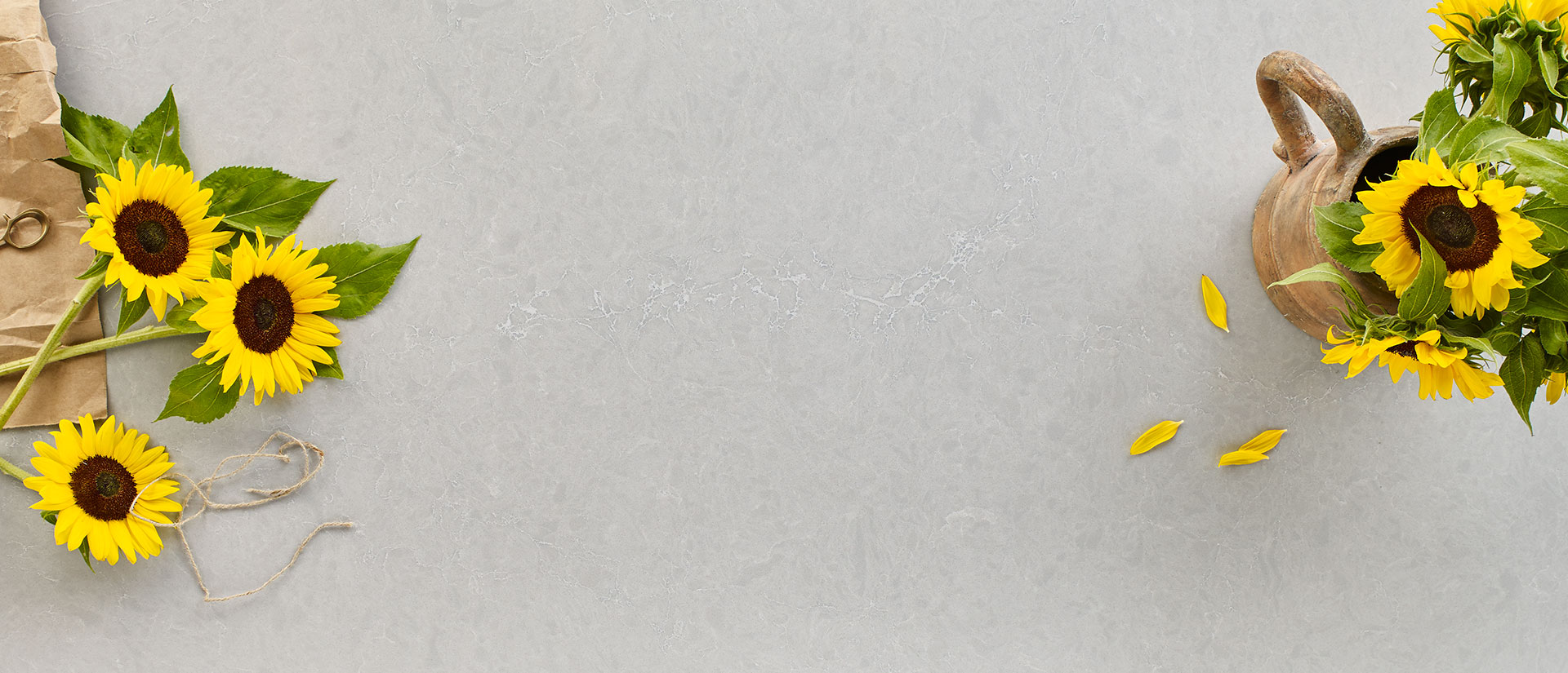Vena Carbona Quartz scene 4