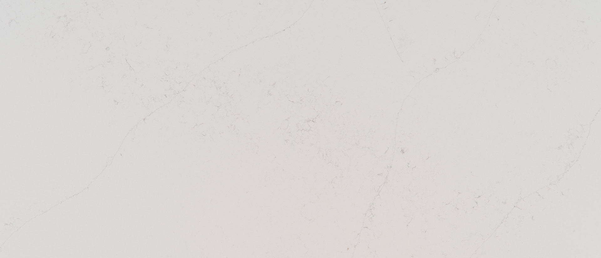 Calacatta Botanica Quartz scene 2