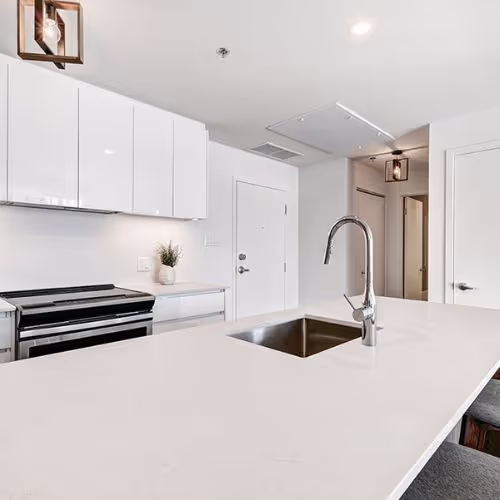 6456Ce4576Abb2173Dfbc4F3 Radianz Quartz Surprise Granite Andes Kitchen Scene countertop sample