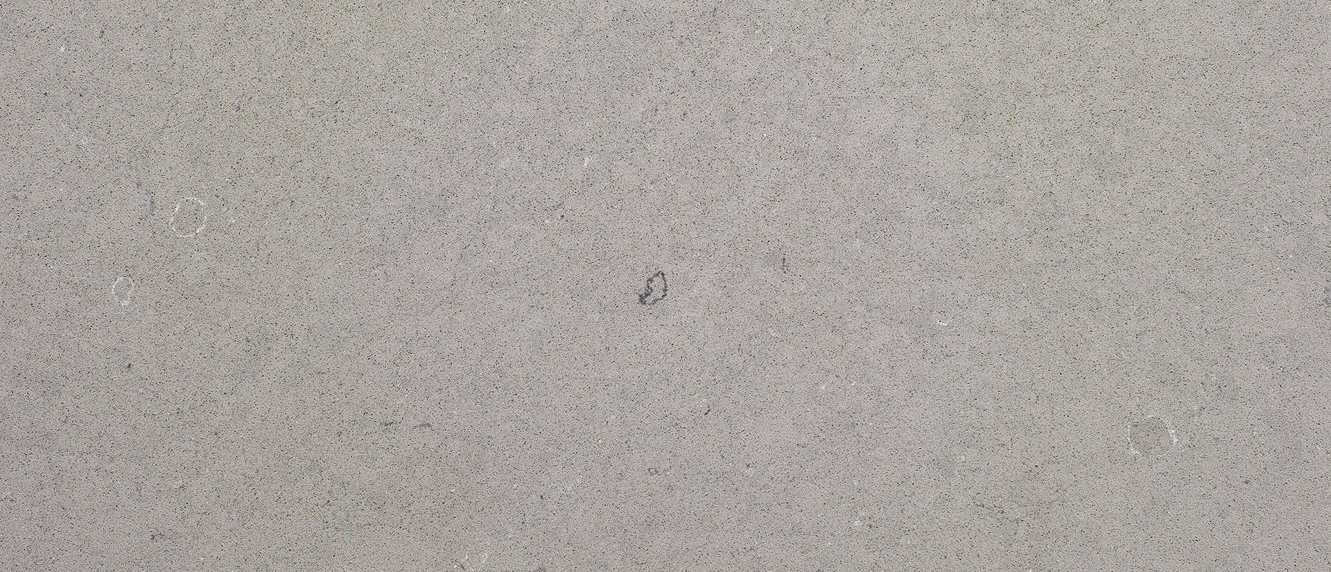Fossil Gray Matte Quartz scene 2