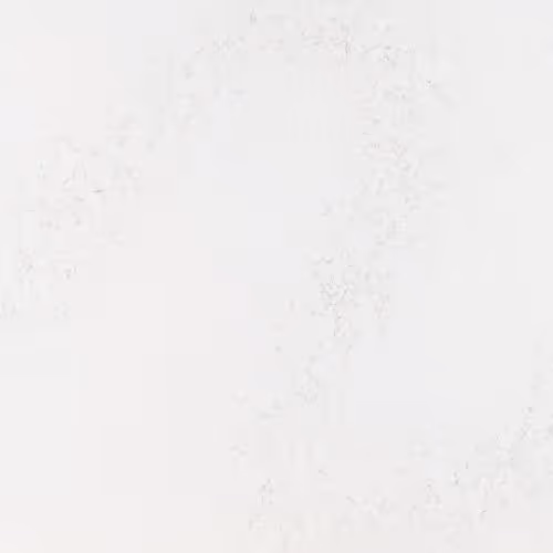 6456Ce4576Abb220A3Fbc4A3 Radianz Quartz Surprise Granite Annapuruna Slab countertop sample