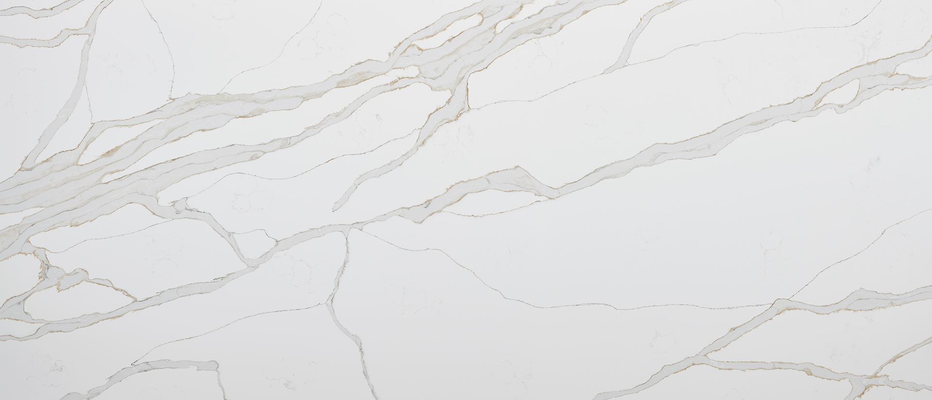 Calacatta Solessio Quartz scene 3