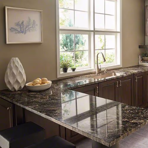 6456Ce4576Abb229F4Fbc1A2 Msi Surfaces Surprise Granite Black Forest Granite Kitchen%20Scene1 countertop sample