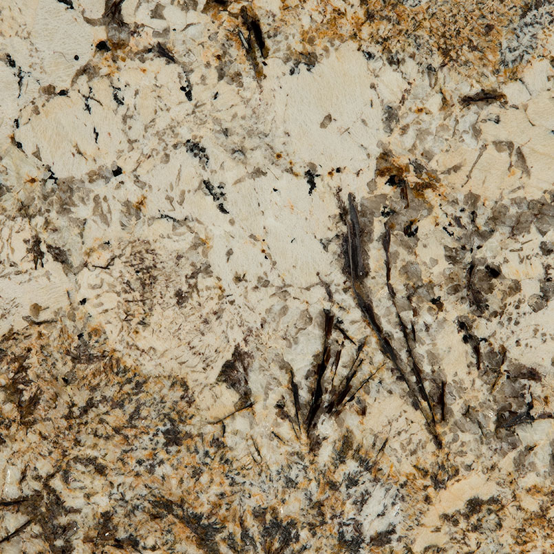 Caravelas Gold Granite scene 2
