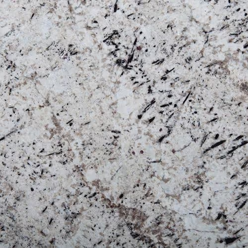 White Galaxy countertop