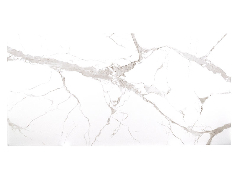 Statuario Silver Porcelain scene 3