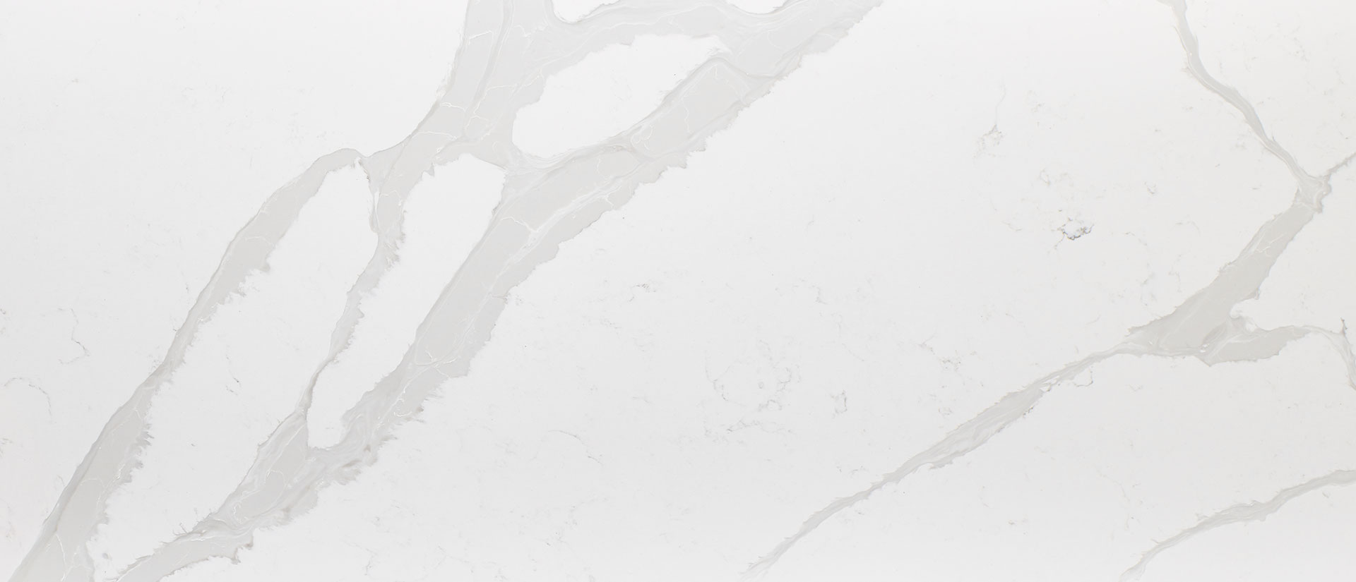 Calacatta Luccia Quartz scene 2