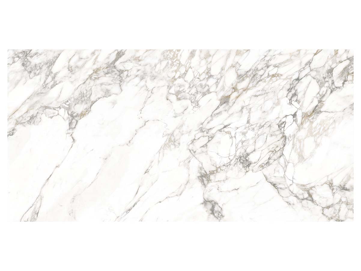 Arabascato Viso Porcelain scene 3