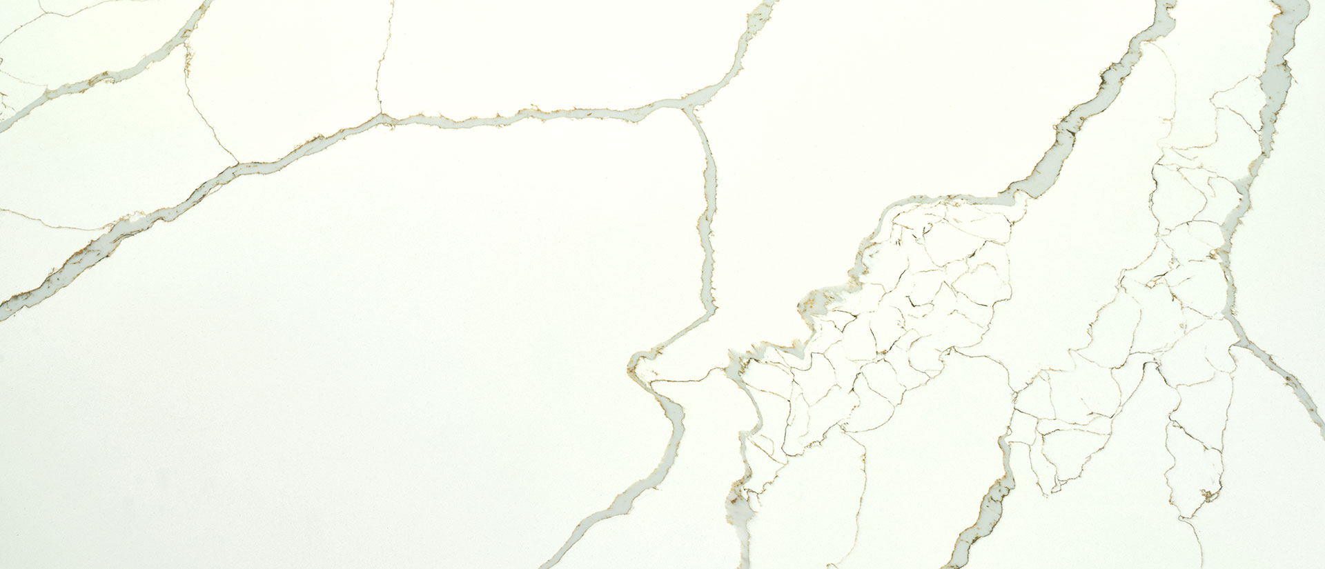 New Calacatta Laza Gold Quartz scene 2
