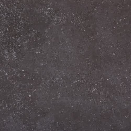 Fossil countertop