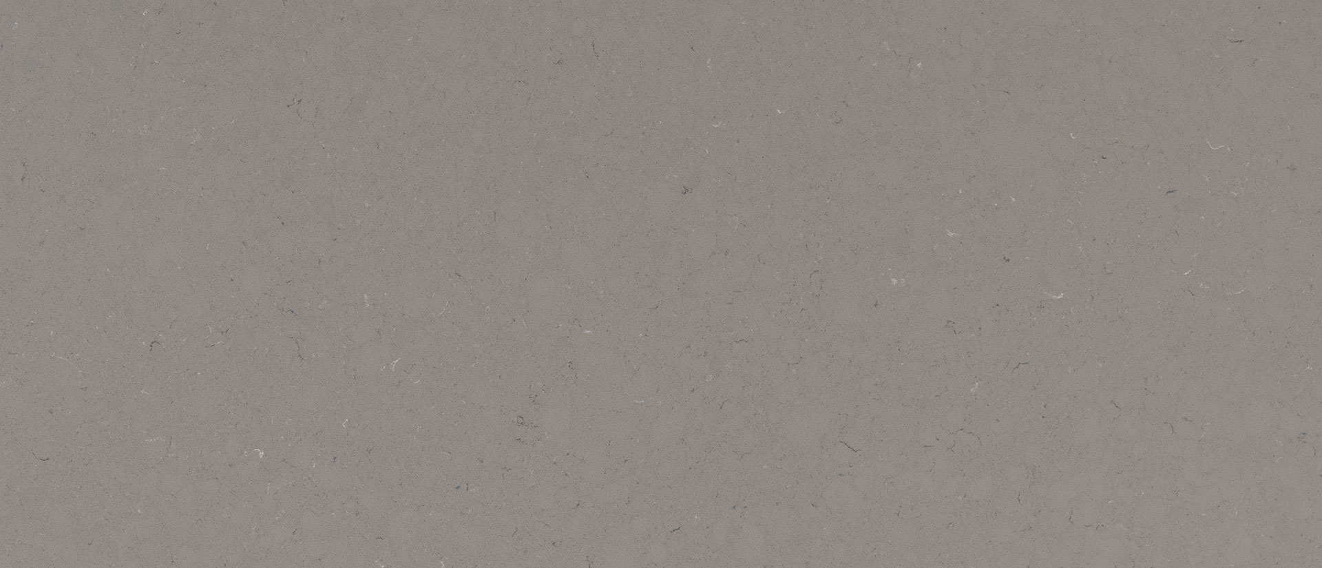 Fossil Gray Quartz scene 2