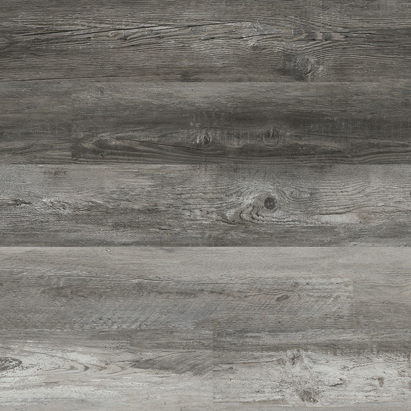 XL Cyrus Boswell view 3