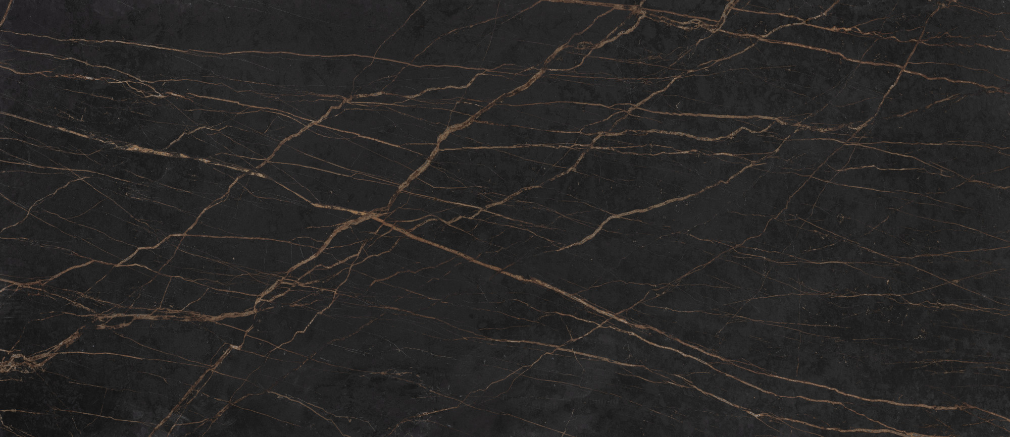 Laurent Dekton scene 3
