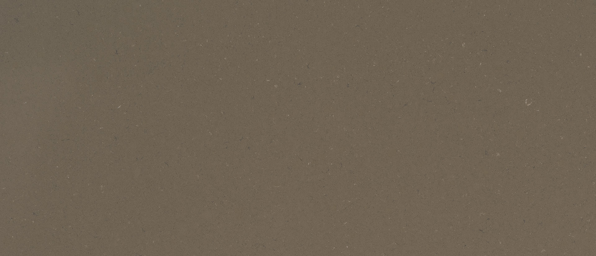 Fossil Brown Quartz scene 2