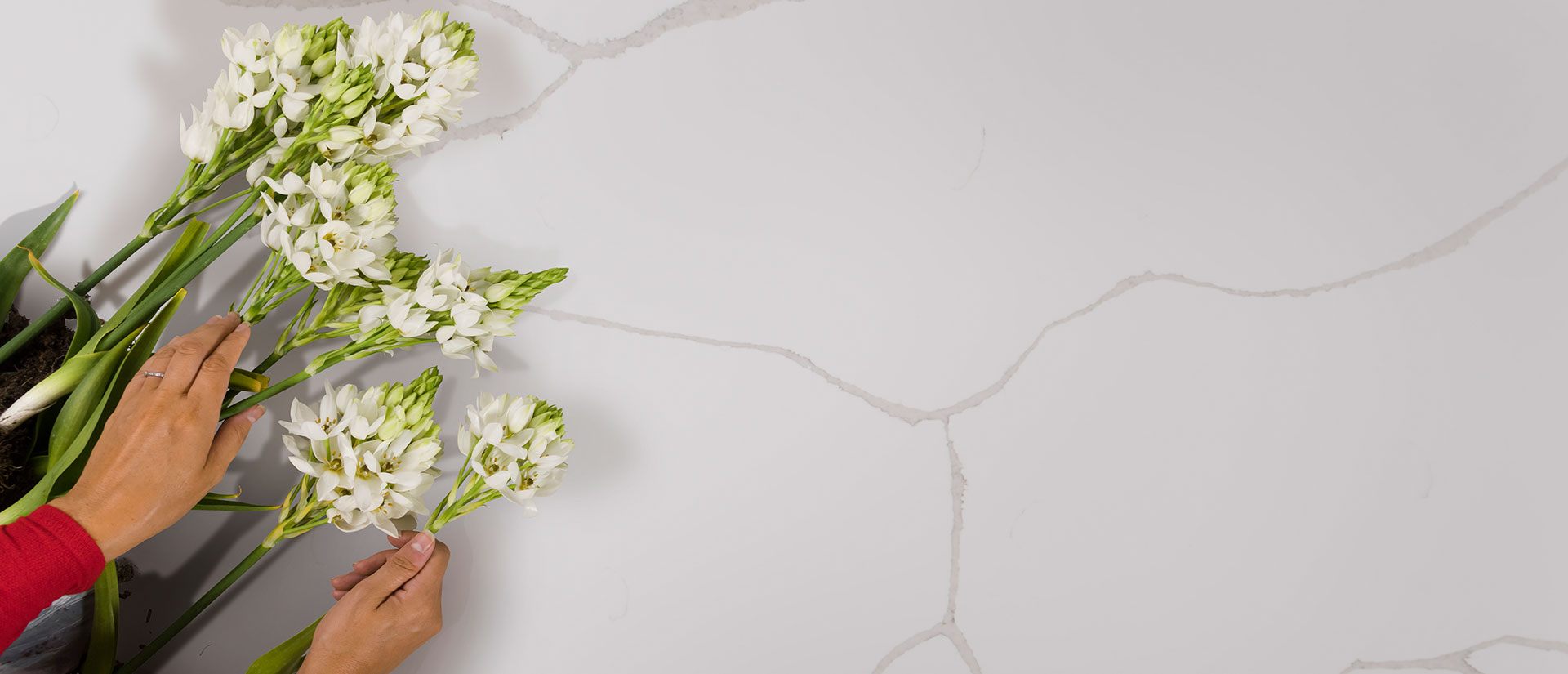 Calacatta Classique Quartz scene 4