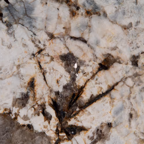 6456Ce4576Abb29D3Afbbf26 Msi Surfaces Surprise Granite Antico Silver Granite Close%20Up countertop sample