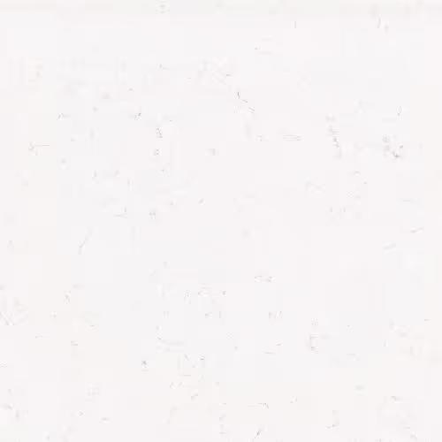 Miami Vena countertop