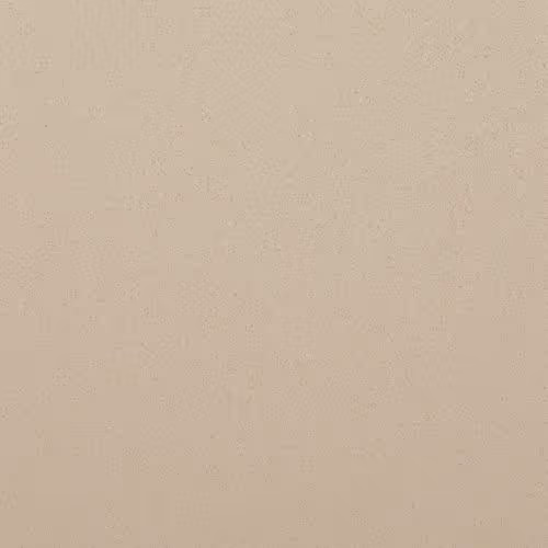 Bristol Beige countertop