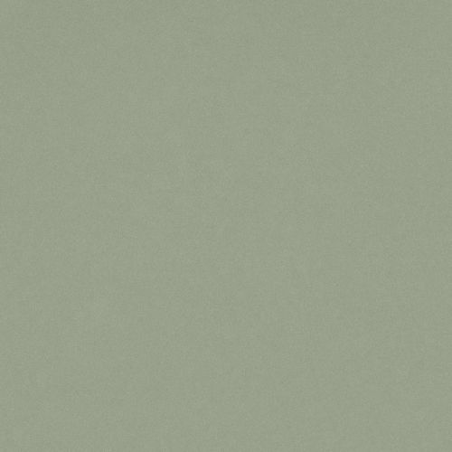 Posidonia Green Quartz slab