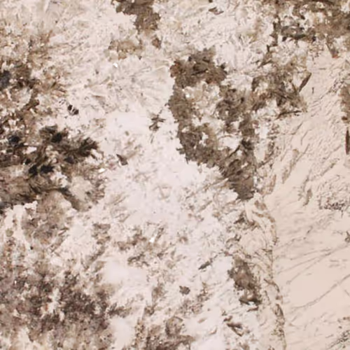 6456Ce4576Abb2B5Ebfbbf0B Msi Surfaces Surprise Granite Alpine White Granite Close%20Up countertop sample