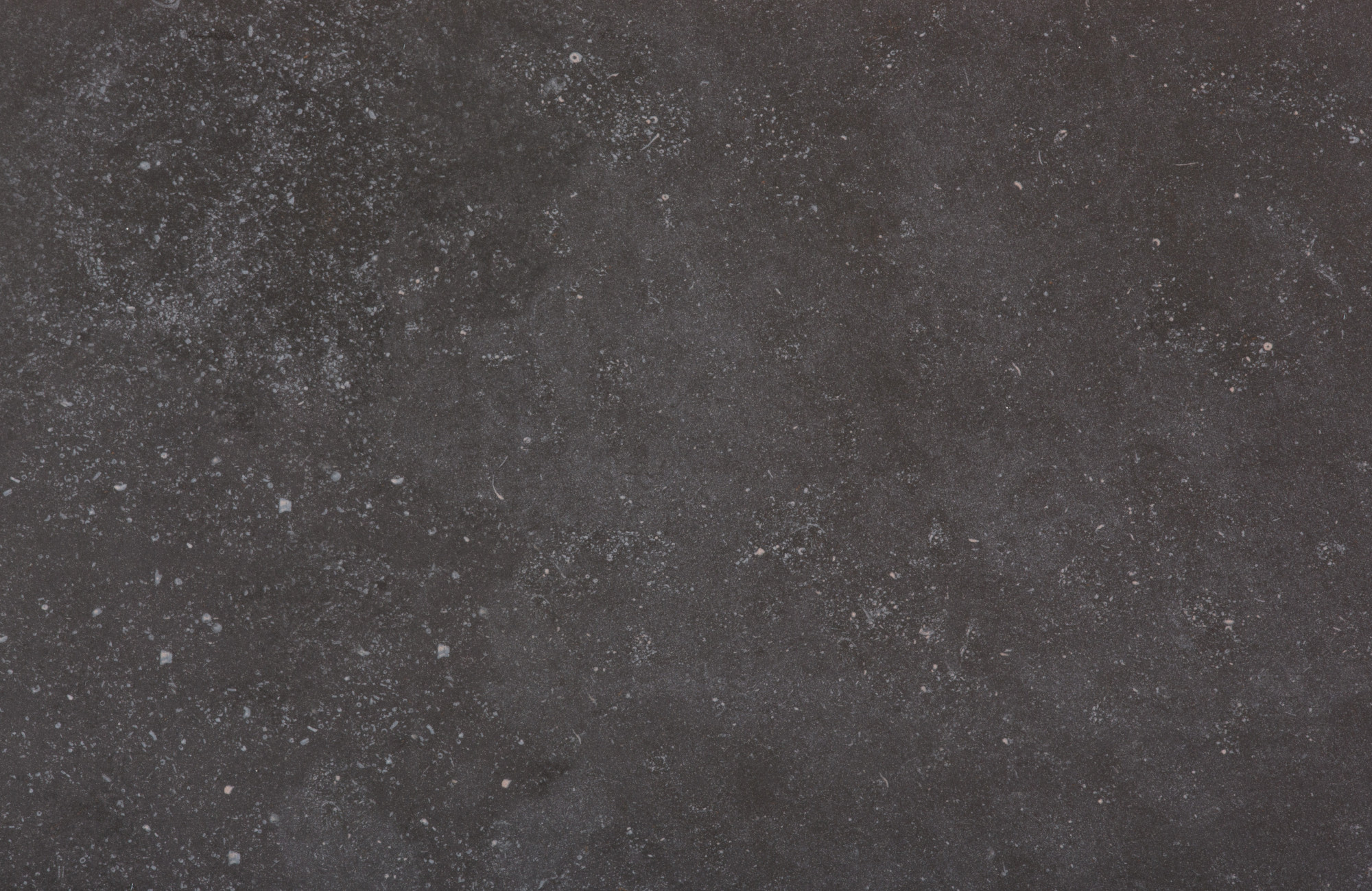 Fossil Dekton scene 2