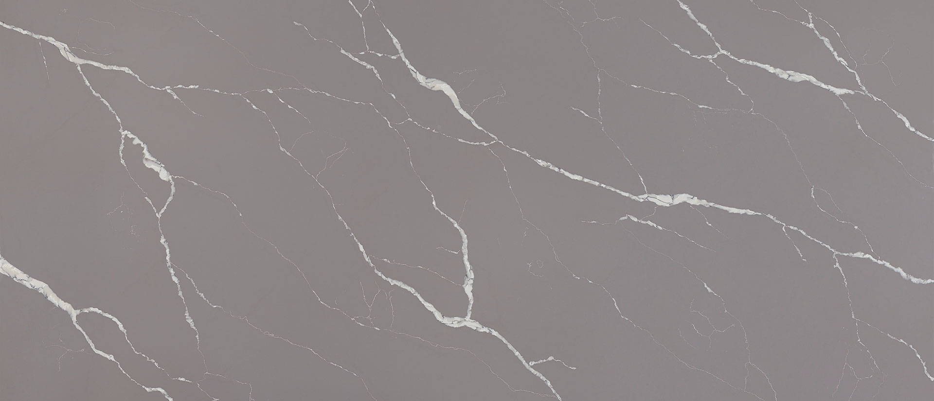 Calacatta Laza Grigio Quartz scene 2