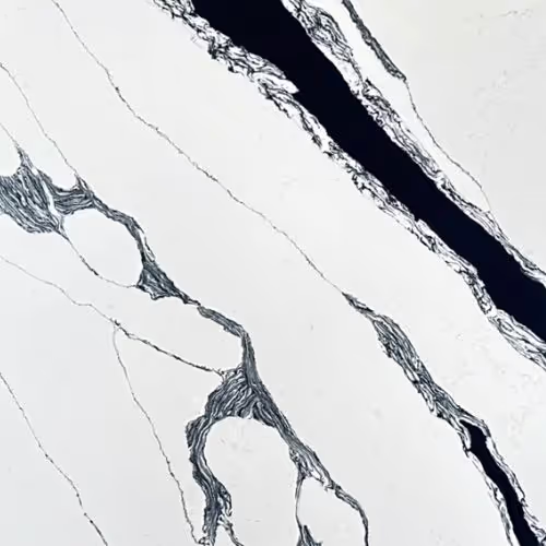 Calacatta Panda White countertop