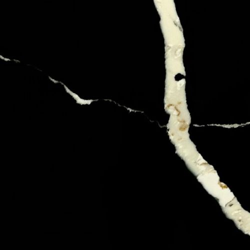 Calacatta Blanche Noir Quartz slab