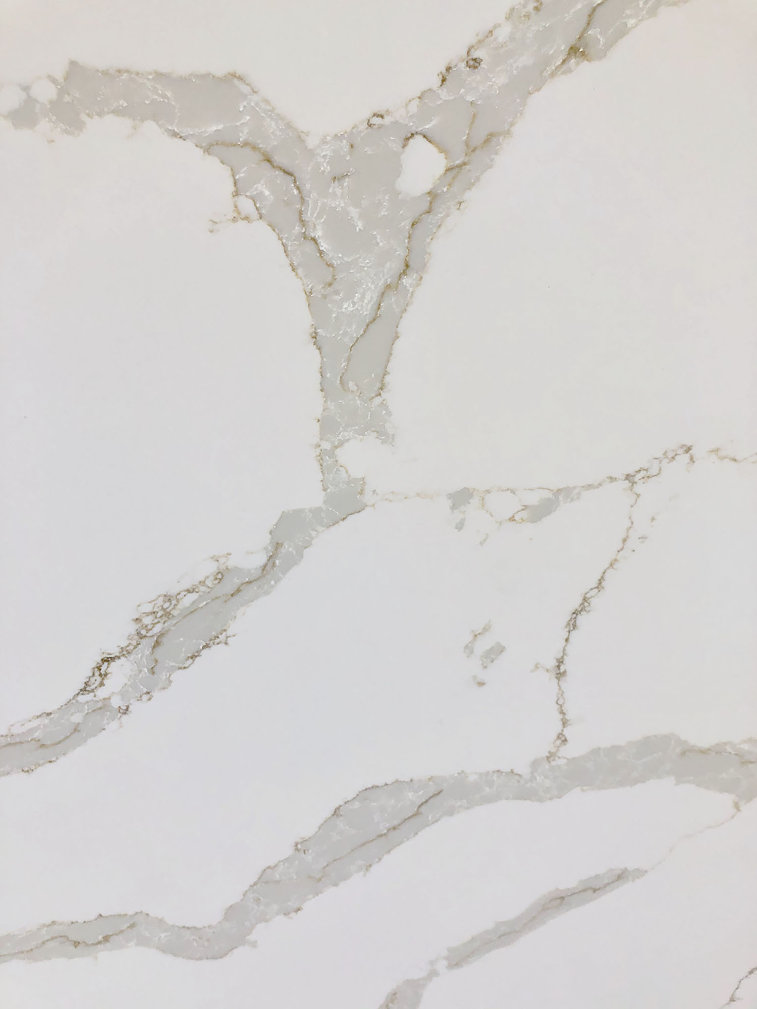 Calacatta Gold Quartz scene 3