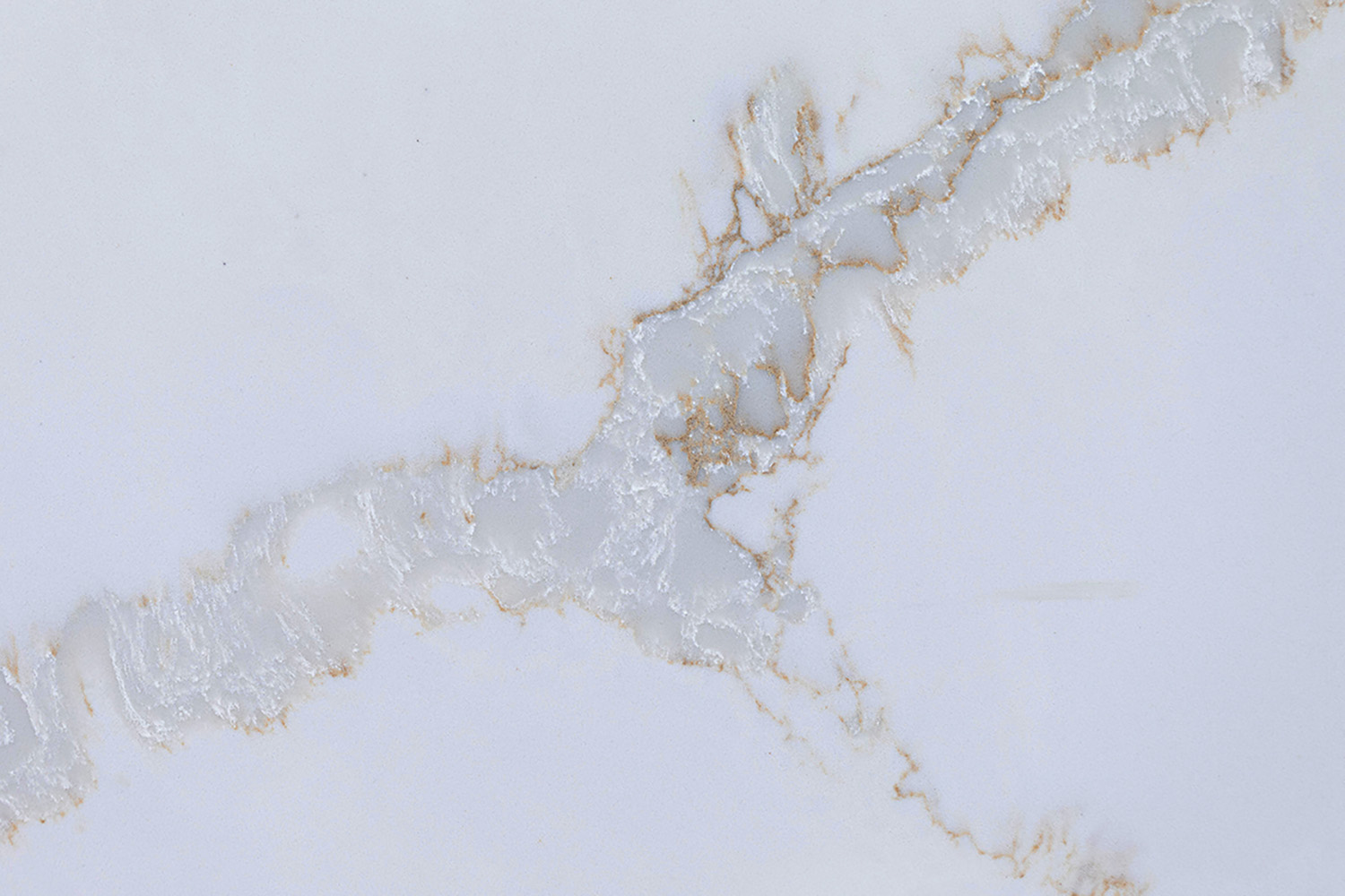 Calacatta Gold Quartz scene 2