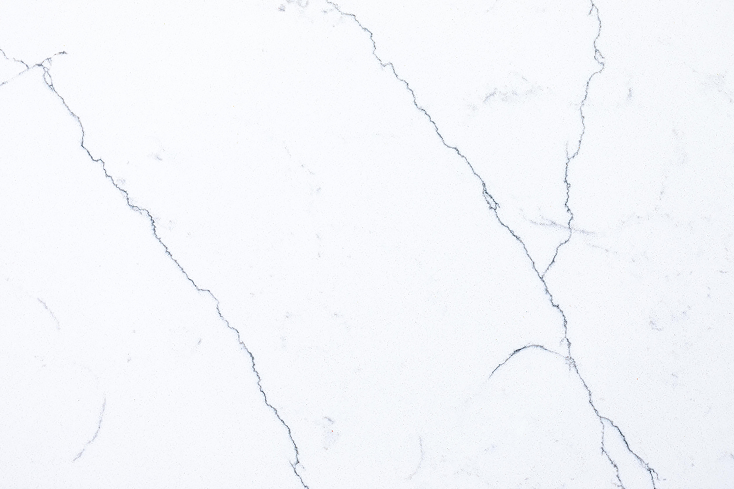 Calacatta Blizzard Quartz scene 2