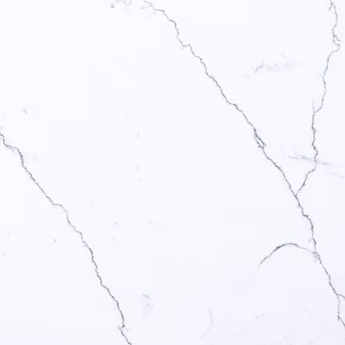 Calacatta Blizzard countertop