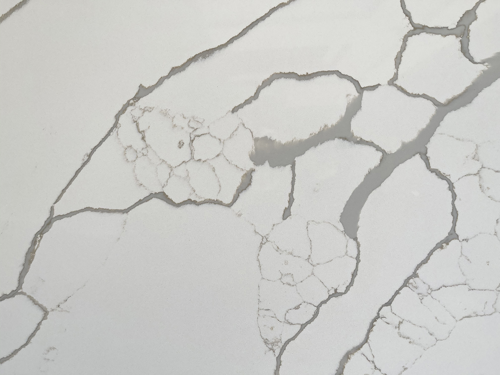 Calacatta Liberta Quartz scene 3