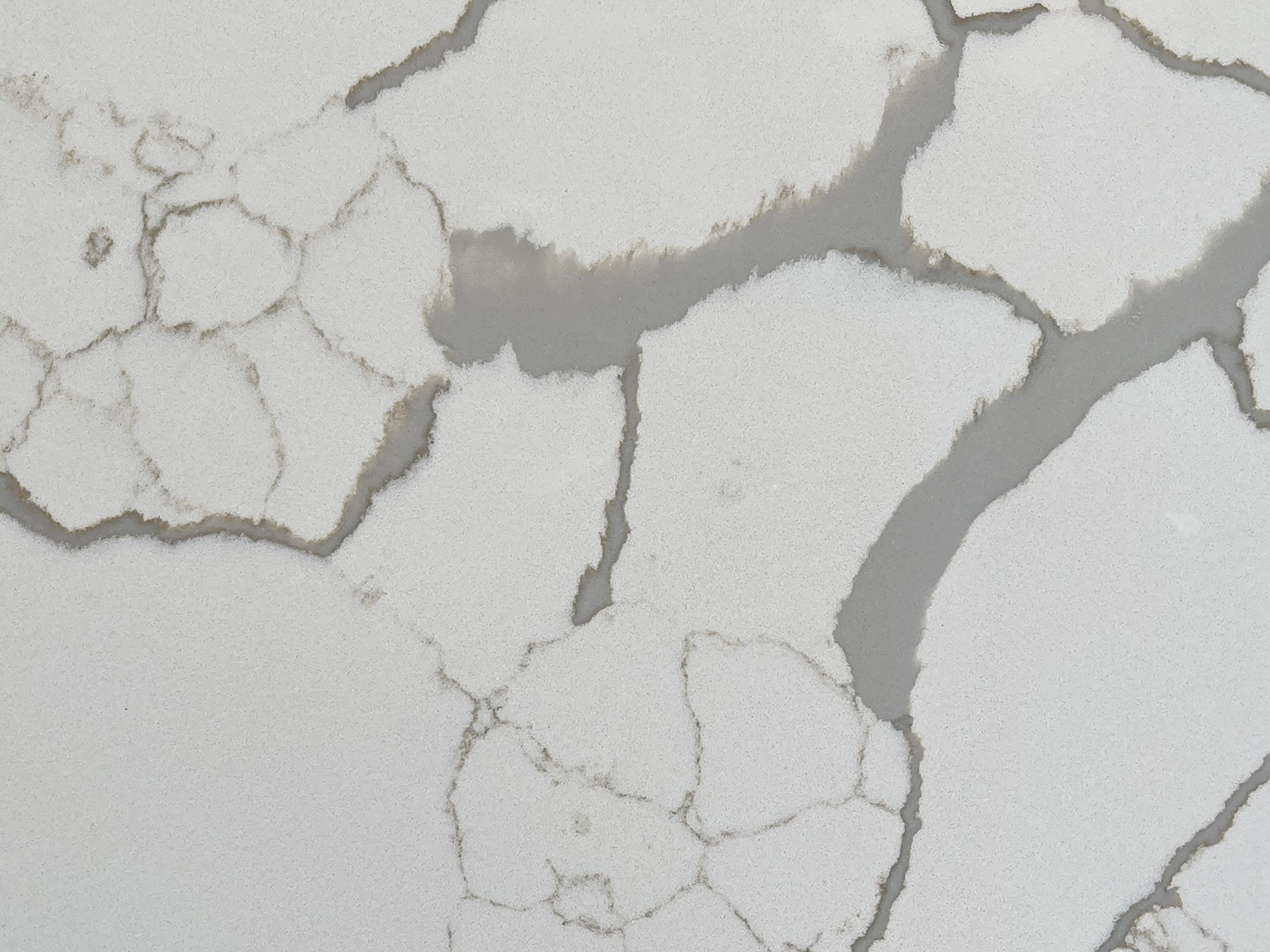 Calacatta Liberta Quartz scene 2
