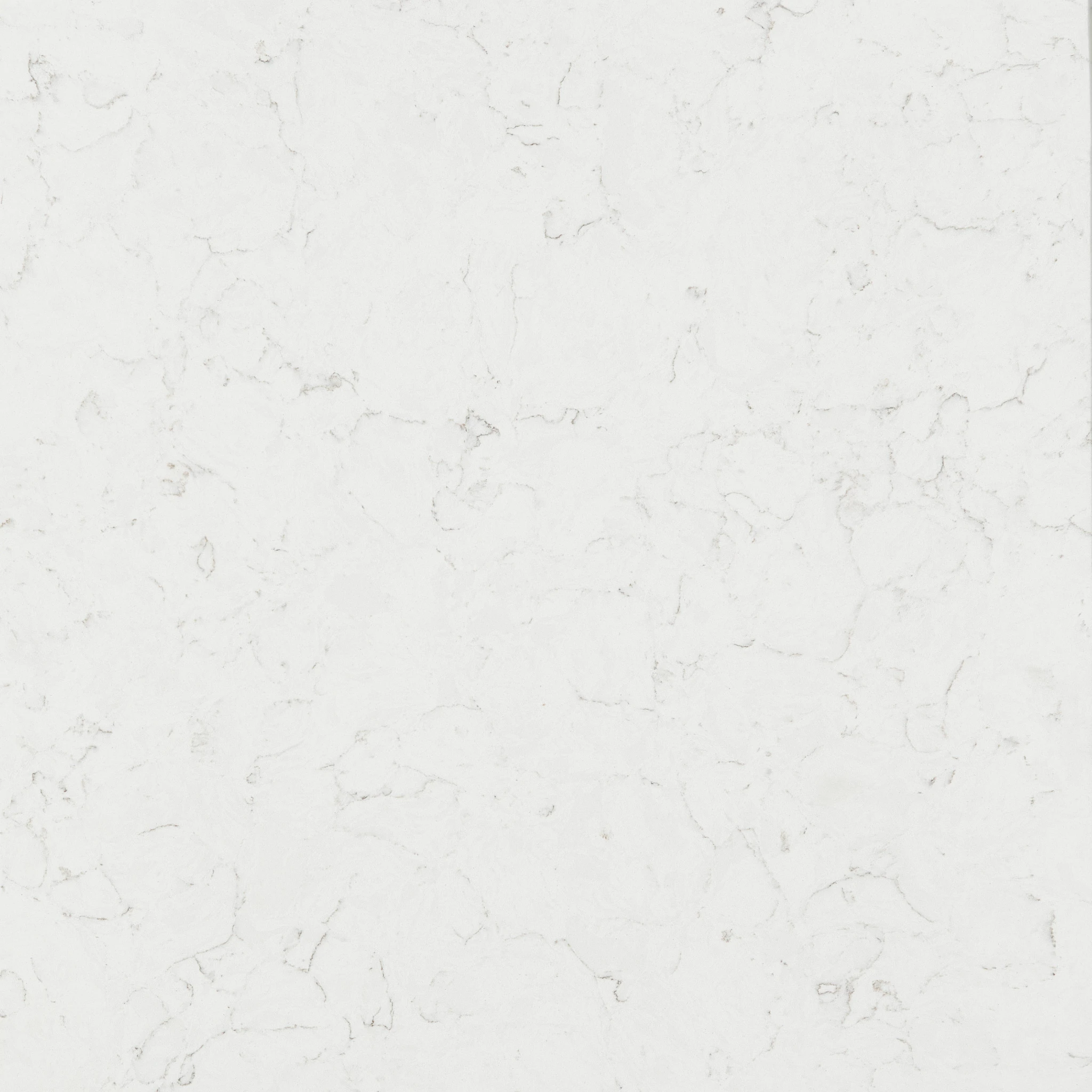 Carrara Barolo Quartz scene 3