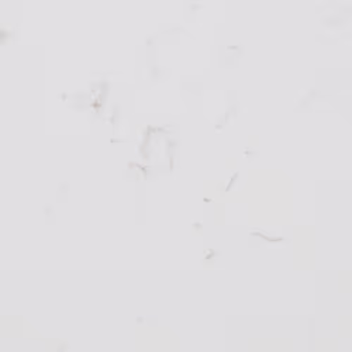 Carrara Breeze countertop